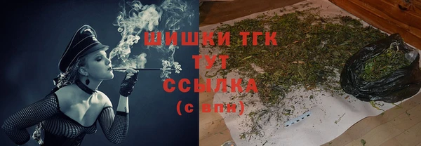 шишки Алексеевка