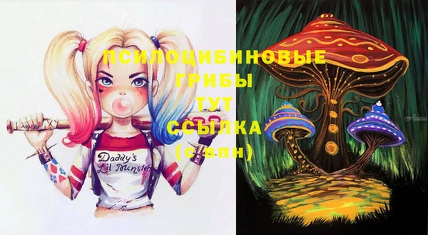 мяу мяу мука Алзамай