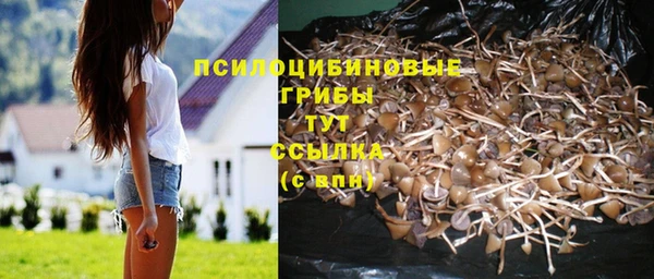 синтетический гашиш Алексин