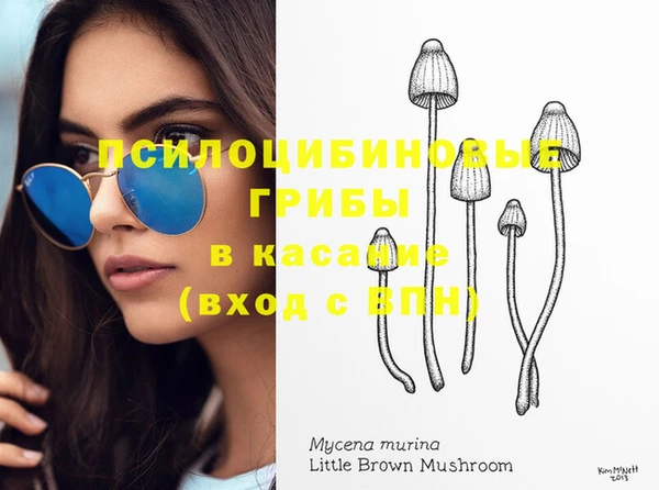 мдпв Абинск