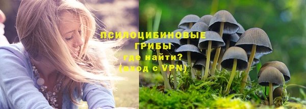шишки Алексеевка