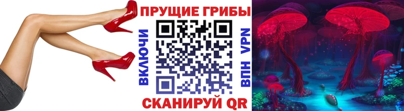 маркетплейс наркотические препараты  Мурино  Галлюциногенные грибы ЛСД 